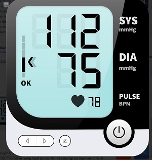 Blood Pressure App Screenshot2