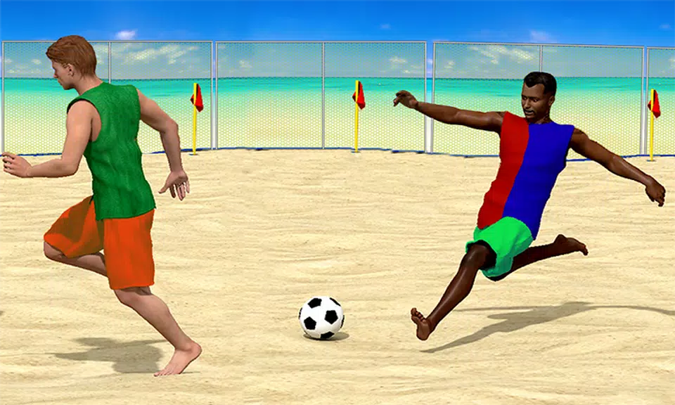 Beach Football Screenshot1