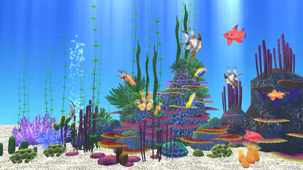 Aquarium Sim Screenshot4