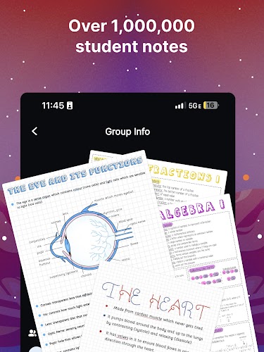 Knowunity: Homework Helper Screenshot18