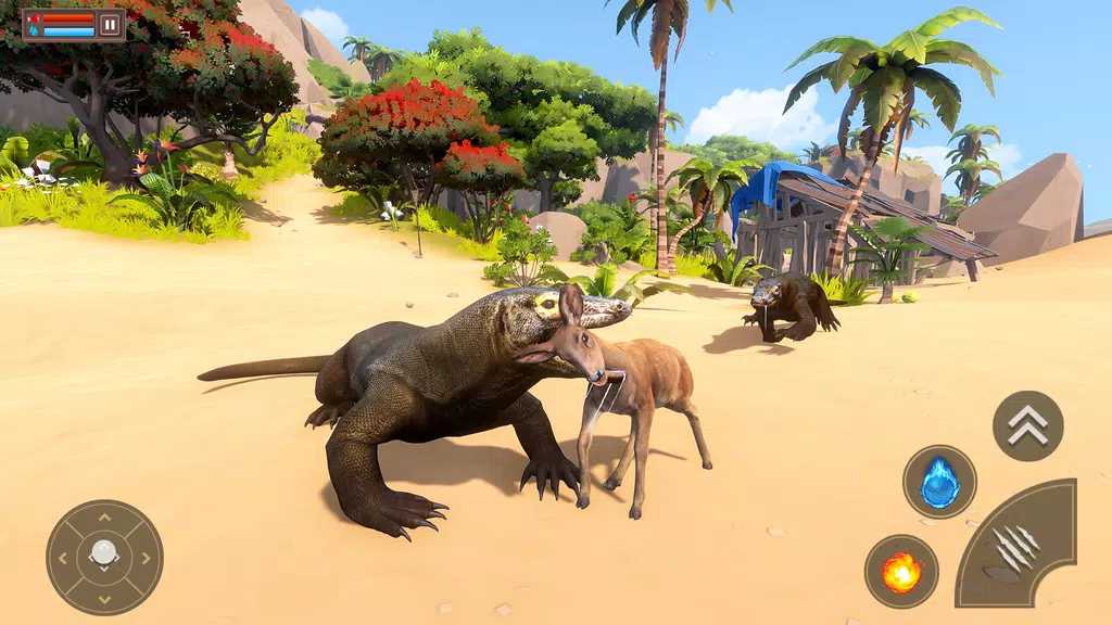 Komodo Dragon : Dragon Games Screenshot1