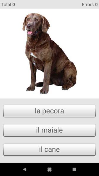 Learn Italian words with ST Screenshot4