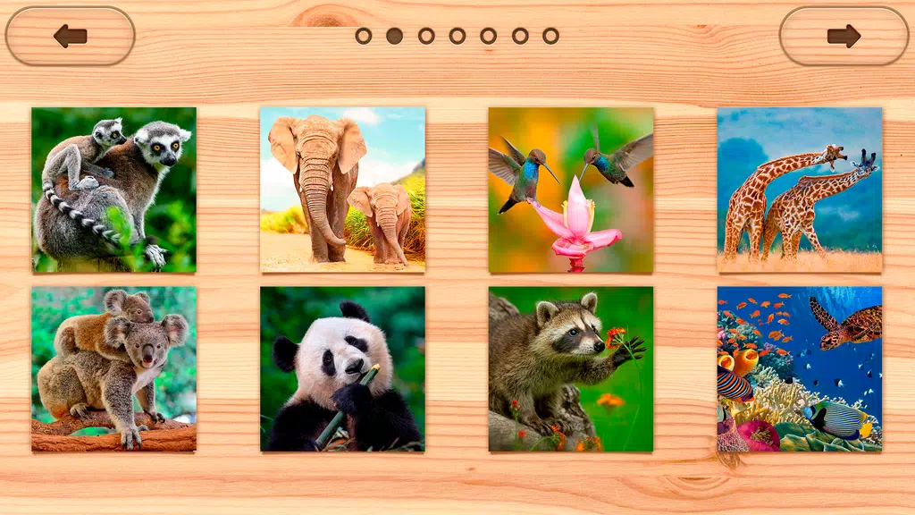 Jigsaw Puzzles Offline: Puzzle Screenshot4