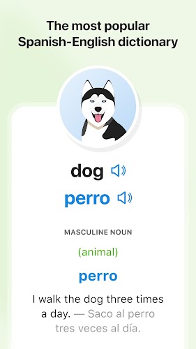 SpanishDictionary.com Learning Screenshot9