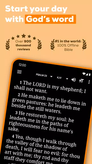 Bible Offline KJV with Audio Screenshot1