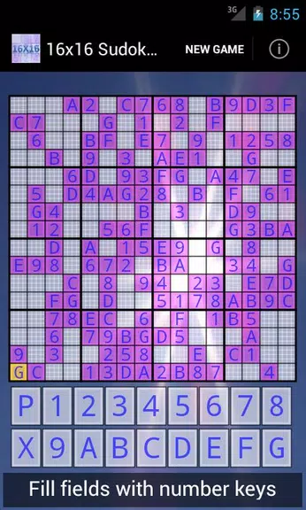 16x16 Sudoku Challenge HD Screenshot1