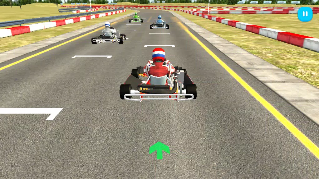 Go Kart Racing 3D Screenshot3