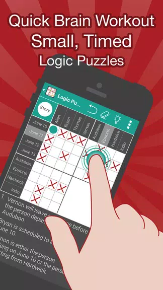 Quick Logic Puzzles Screenshot1