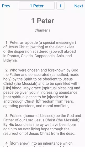 The King James Bible Screenshot1