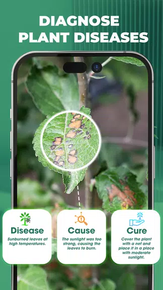 Planet - AI Plant Identifier Screenshot2