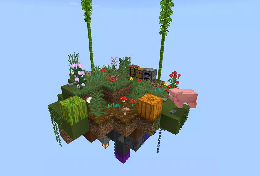 Sky survival map for minecraft Screenshot3