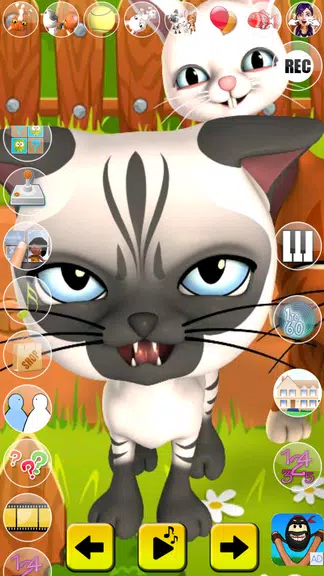 Talking Cat and Bunny Screenshot4