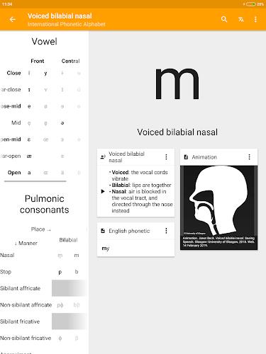 Phonemes: IPA & pronuciation Screenshot10