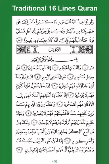 Easy Quran Mp3 Audio Offline Screenshot3