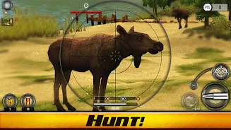 Wild Hunt: Real Hunting Games Screenshot1