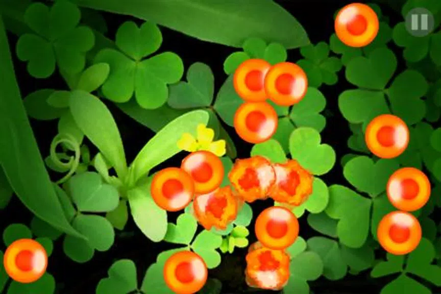 Salmon Roe Screenshot3