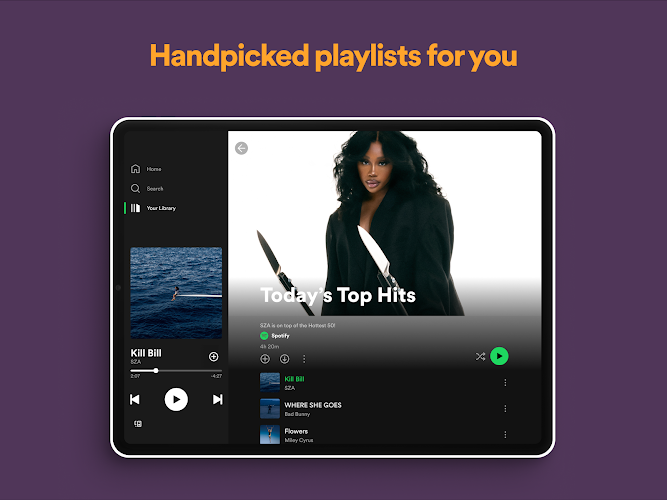 Spotify: Music and Podcasts Screenshot17