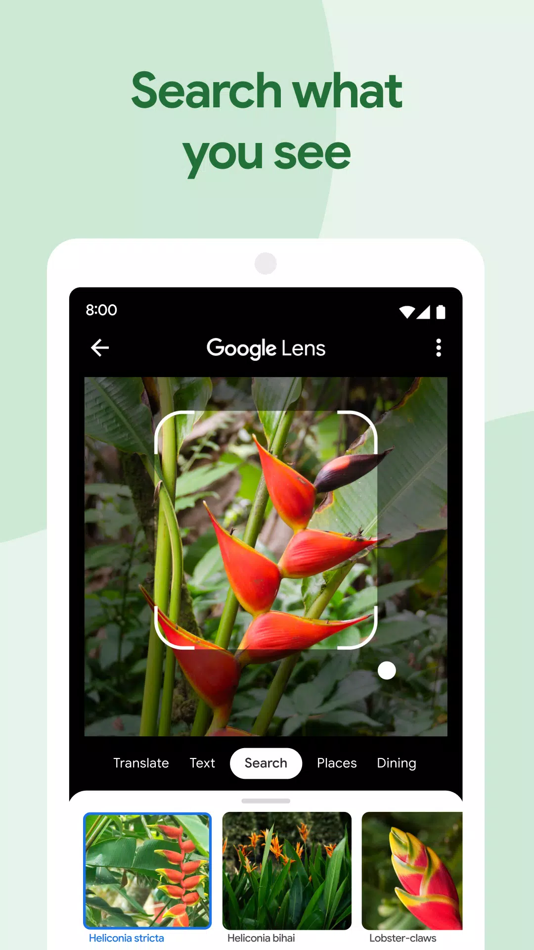 Google Photos Screenshot1