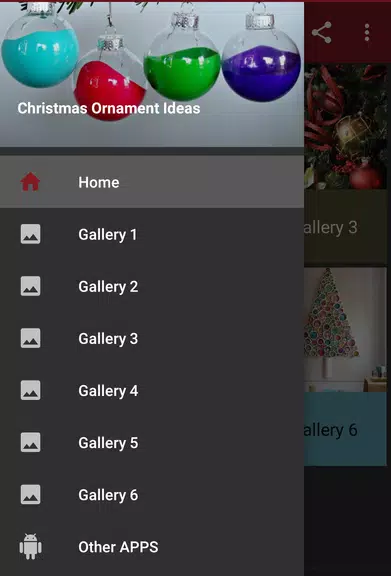 Christmas Ornament Ideas Screenshot1