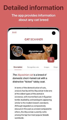 Cat Scanner Screenshot8