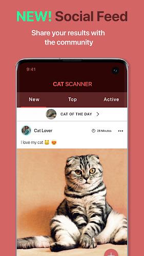 Cat Scanner Screenshot4