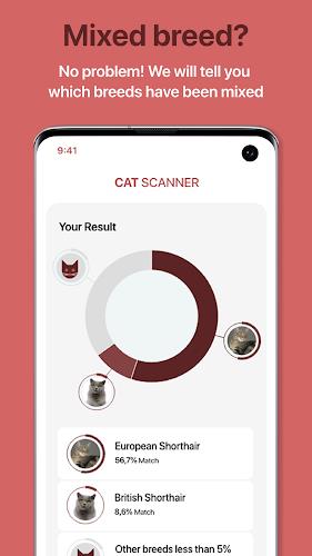 Cat Scanner Screenshot2