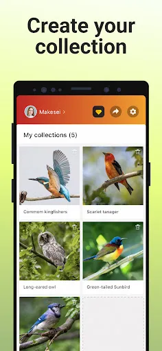 Picture Bird Screenshot6