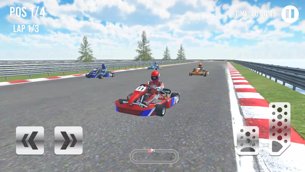 Go Kart Racing Cup 3D Screenshot1