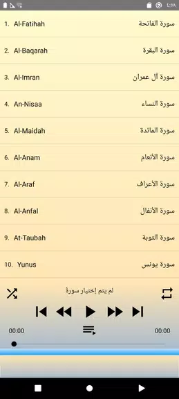 Khalid Al jalil offline Quran Screenshot3