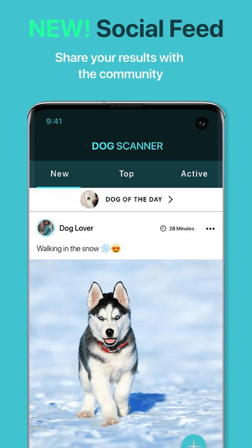 Dog Scanner Screenshot4