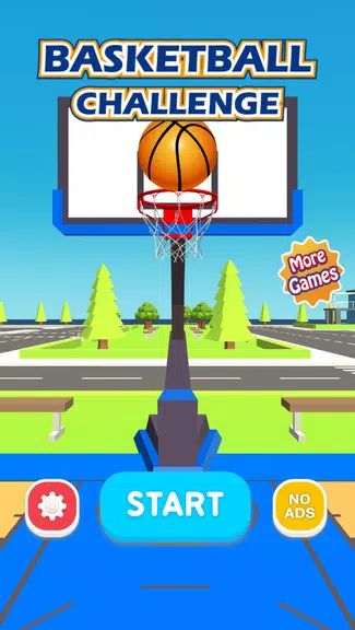 Basketball Challenge 3D Screenshot2