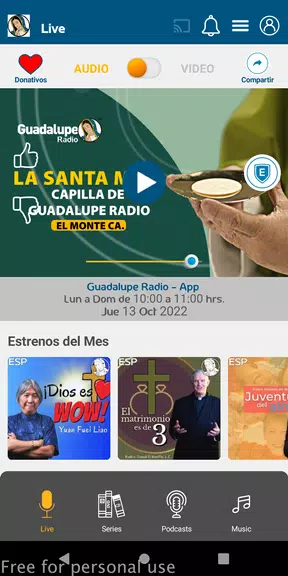 Guadalupe Radio Screenshot2