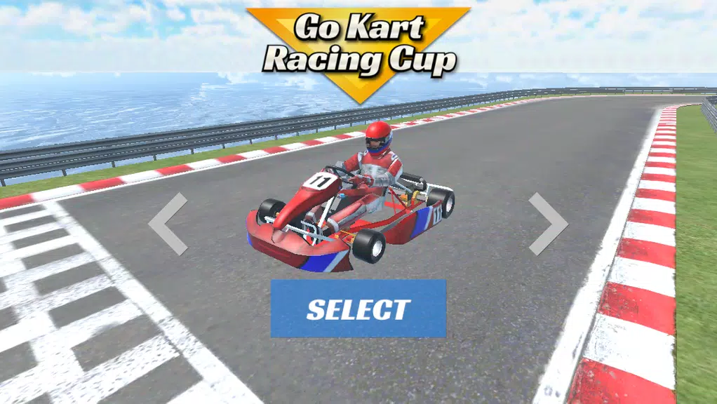 Go Kart Racing Cup 3D Screenshot2