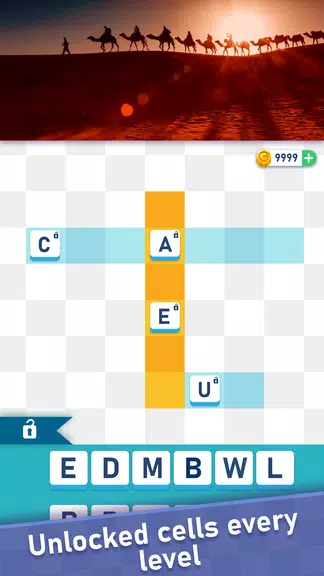 Picture Crossword Puzzles Screenshot4