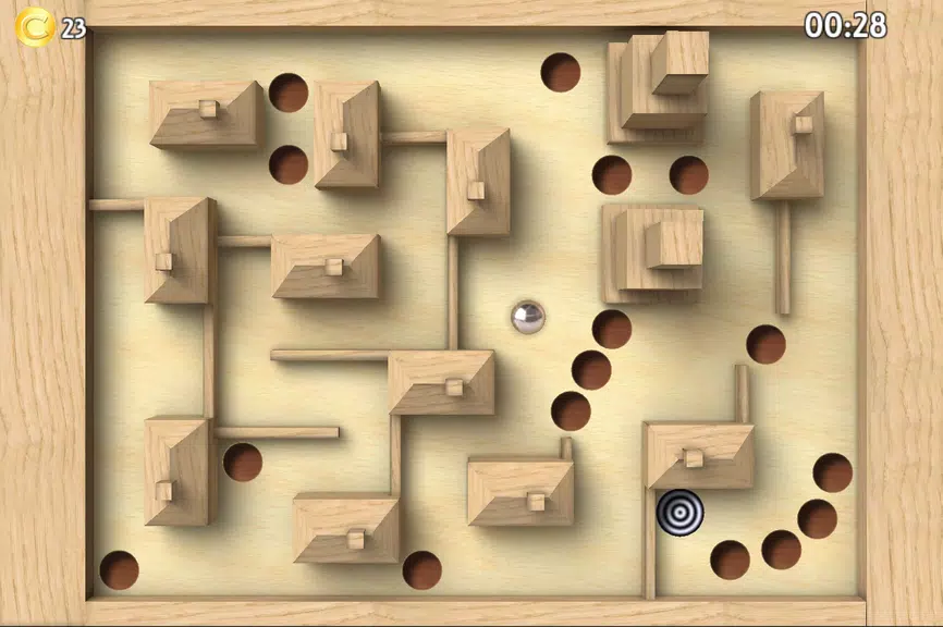 Classic Labyrinth 3d Maze Screenshot3