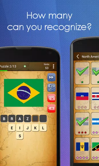 Picture Quiz: Country Flags Screenshot2