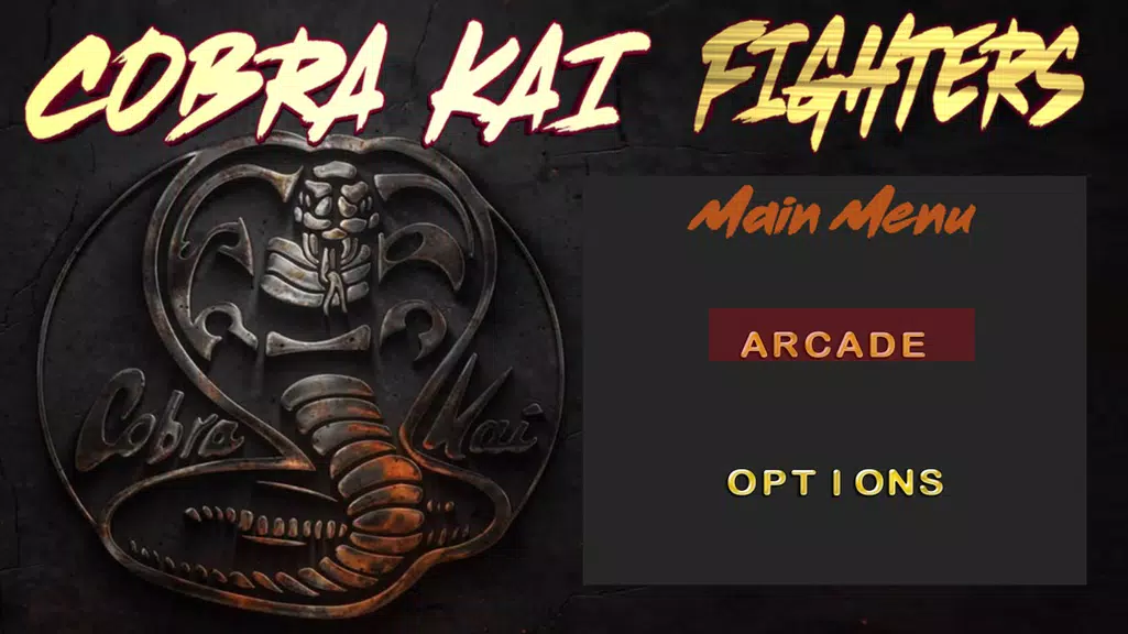 COBRA KAI FIGHTERS KARATE-DO Screenshot3