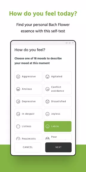 Bach Flower Self-test Screenshot3
