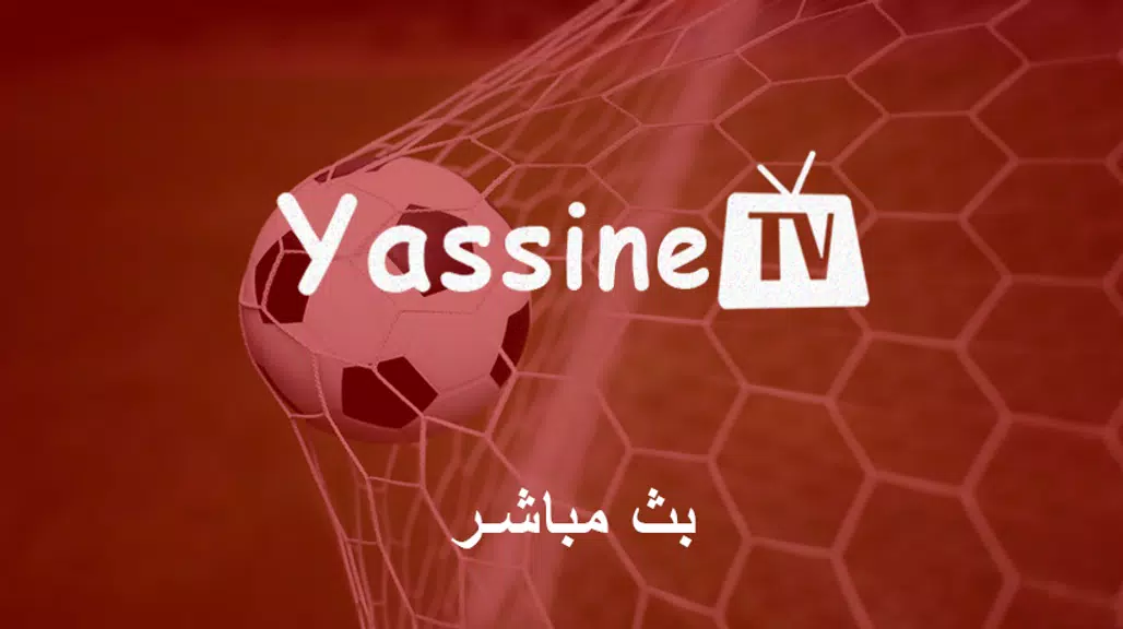 Qatar : Yassine HD Tv بث مباشر Screenshot3