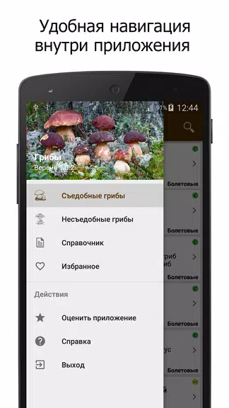 Грибы Screenshot3