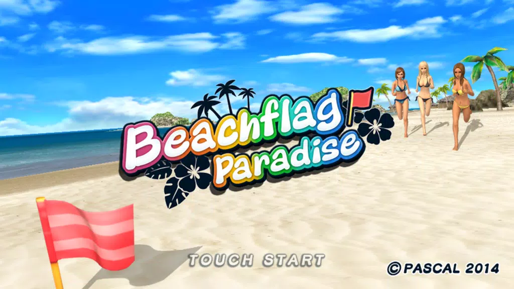 Beach Flag Paradise Screenshot1