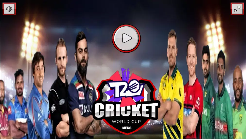 ICC T20 Cricket World Cup game Screenshot1