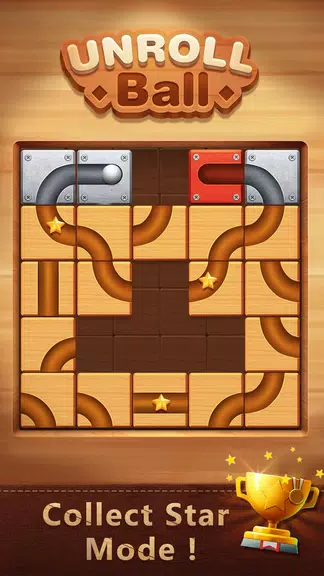 Unblock The Ball -Block Puzzle Screenshot2