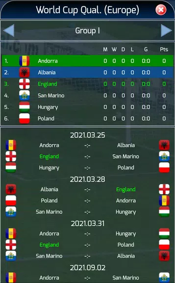 True Football National Manager Screenshot3