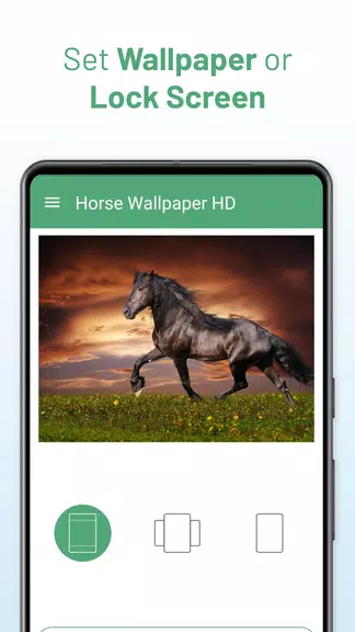 Horse Wallpaper HD Screenshot4