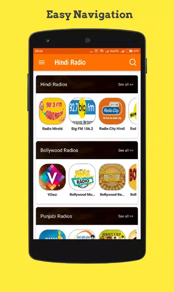 Hindi Radio Online Screenshot4