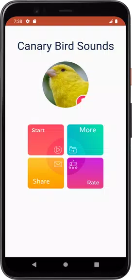 Canary Bird Sounds Screenshot2