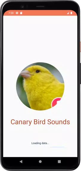 Canary Bird Sounds Screenshot1