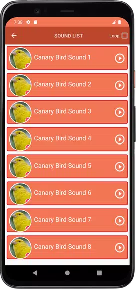 Canary Bird Sounds Screenshot3