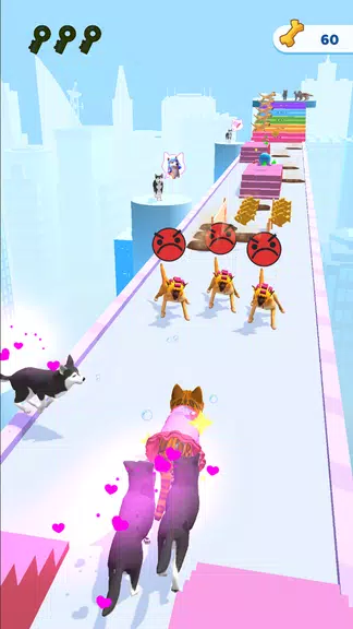 Cats run 3D Screenshot3